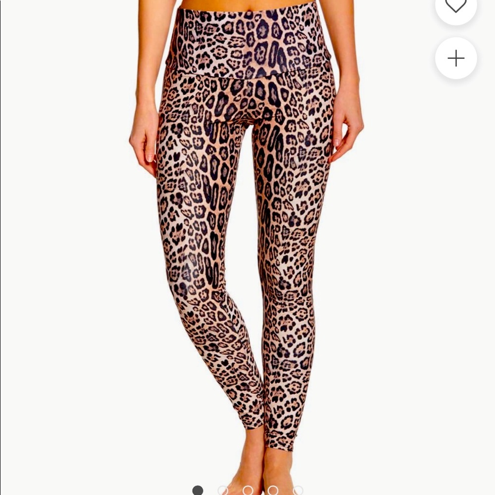 Onzie Leggings